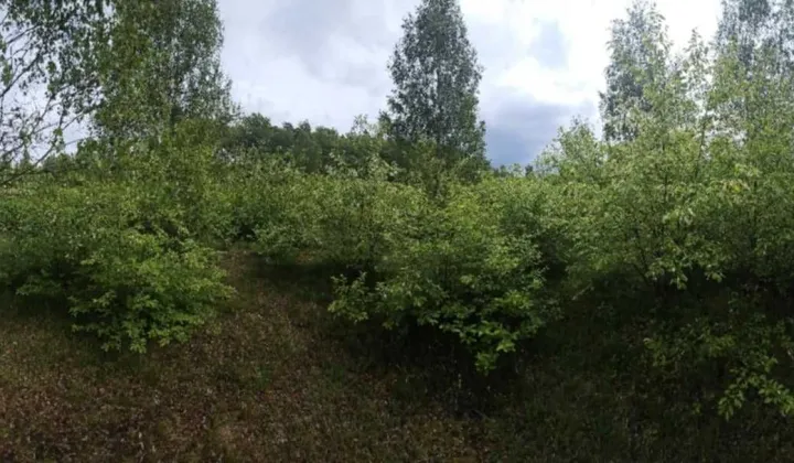 Działka rolna Krępsko