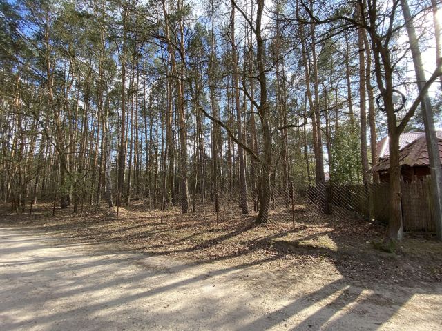 Działka leśna Legionowo, ul. Dębowa. Zdjęcie 1