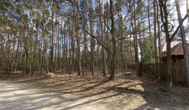 Działka leśna Legionowo, ul. Dębowa