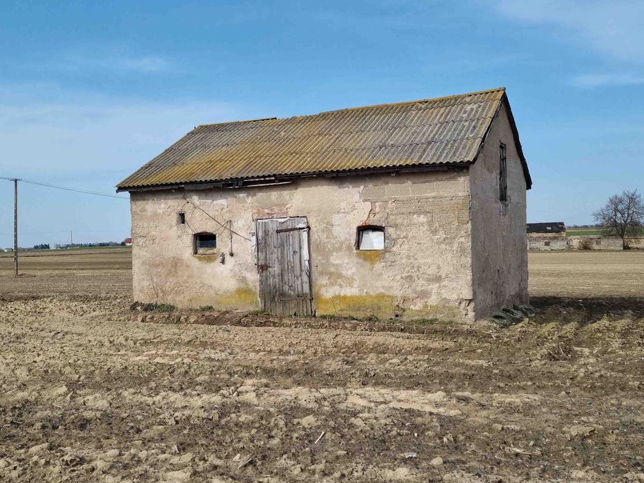 dom wolnostojący Giżynek. Zdjęcie 4