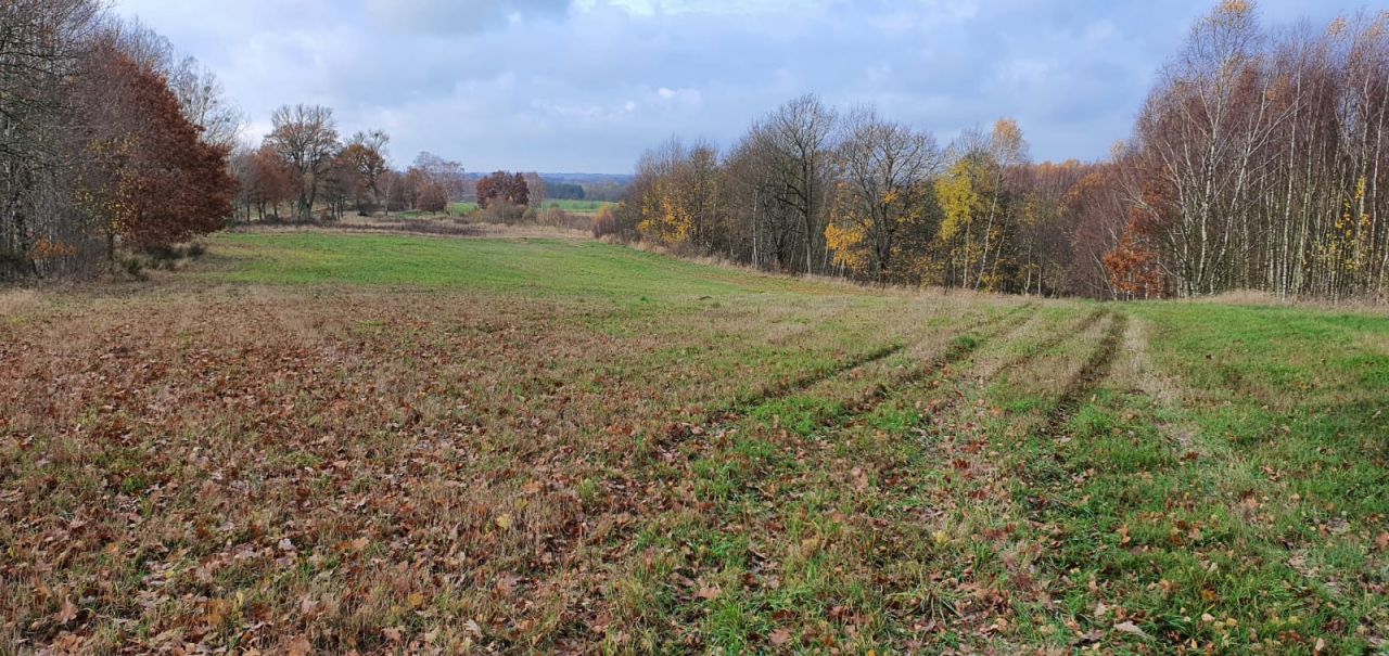 Działka rolna Rydzewo. Zdjęcie 3