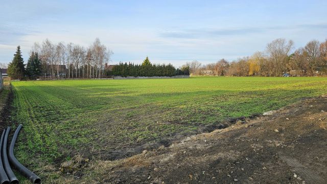 Działka budowlana Przygodzice, ul. Bursztynowa. Zdjęcie 1