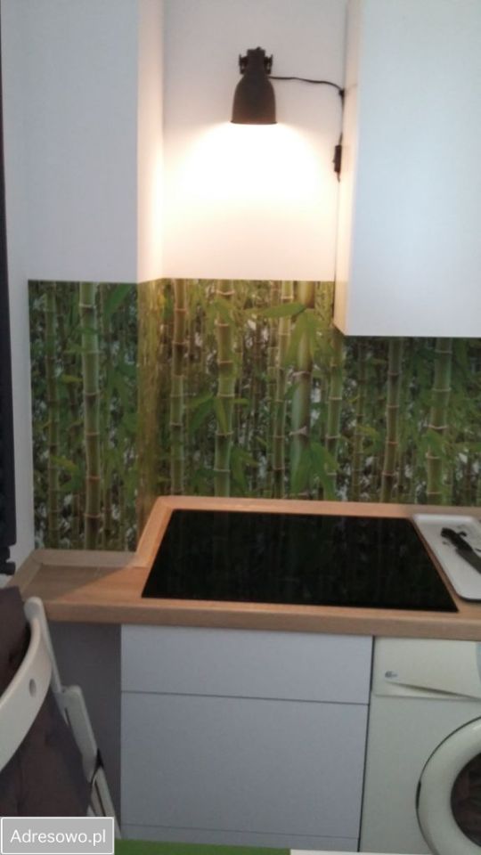 Mieszkanie 1-pokojowe Tychy Centrum, ul. Dębowa. Zdjęcie 7