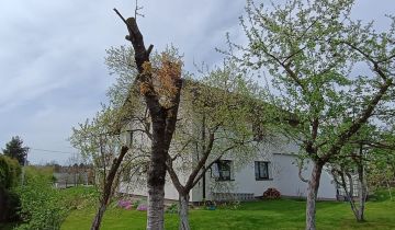 dom wolnostojący, 9 pokoi Cieszyn, ul. Elizy Orzeszkowej