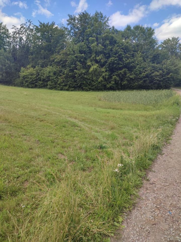 Działka budowlana Werlas. Zdjęcie 6