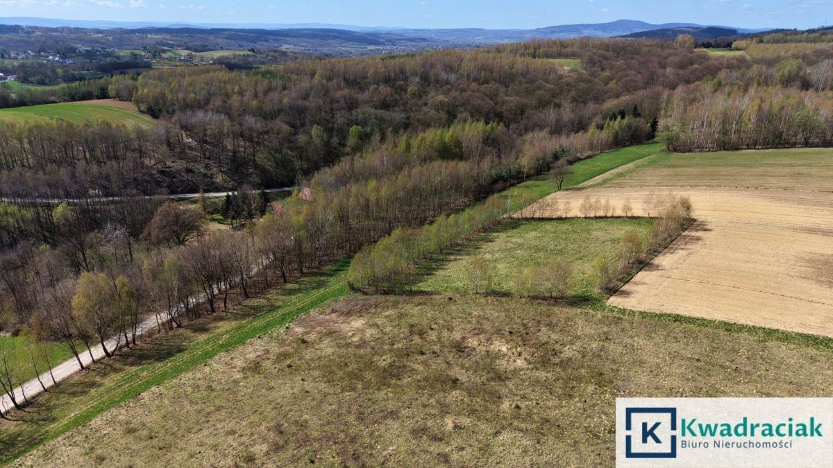 Działka rolna Lublica. Zdjęcie 7