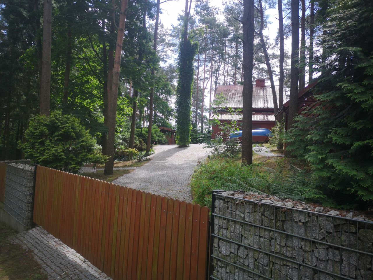 bliźniak Tarczyny. Zdjęcie 3