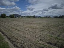 Działka budowlana Uciechów, ul. Leśna. Zdjęcie 2