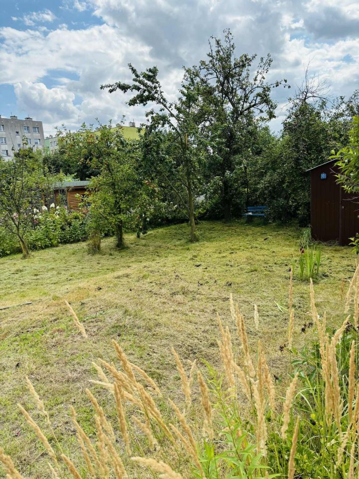 Działka rod Brzeg, ul. Księdza Makarskiego. Zdjęcie 7