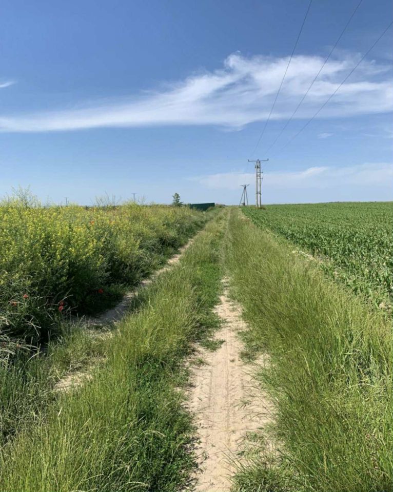 Działka budowlana Gościsław. Zdjęcie 3