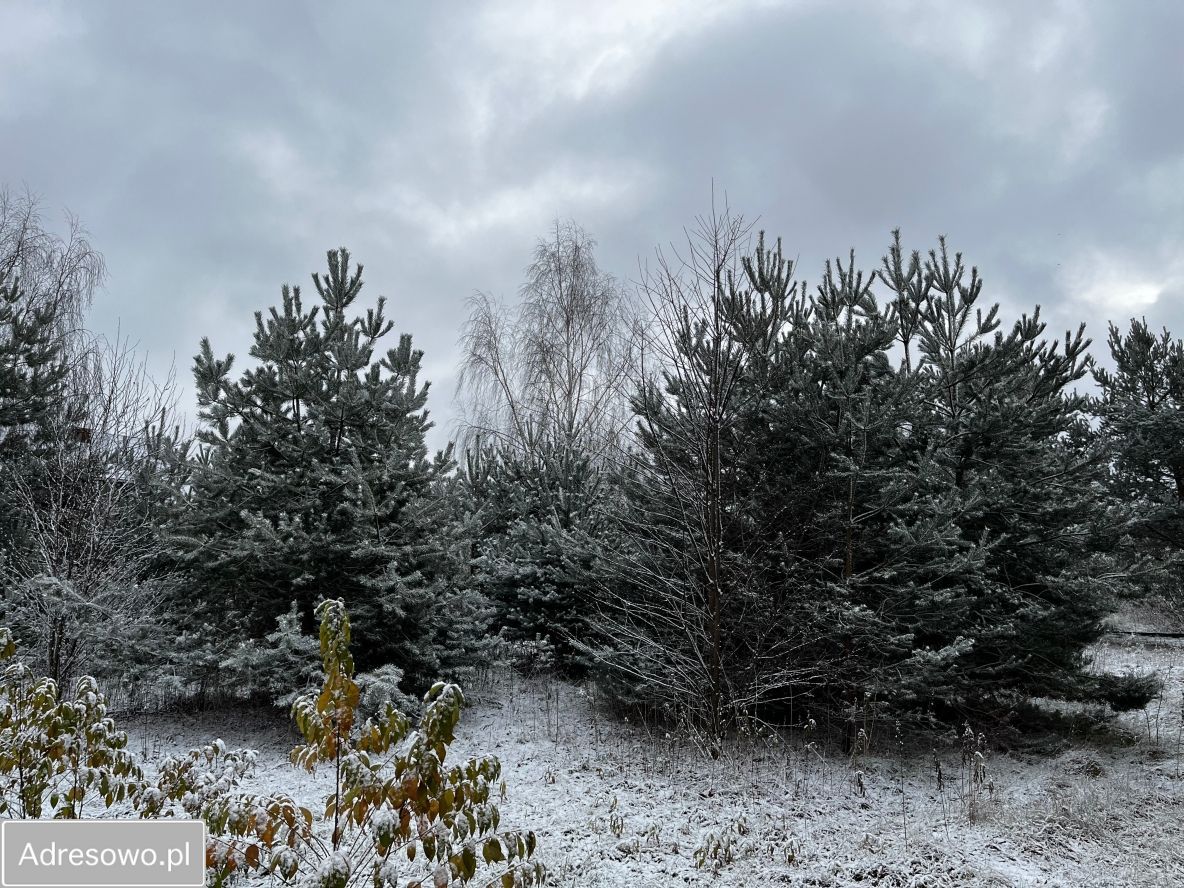 Działka budowlana Nowe Grochale. Zdjęcie 3