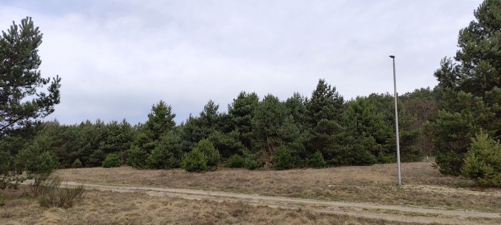 Działka budowlana Zielona Góra, ul. Ochla-Pustynna. Zdjęcie 8