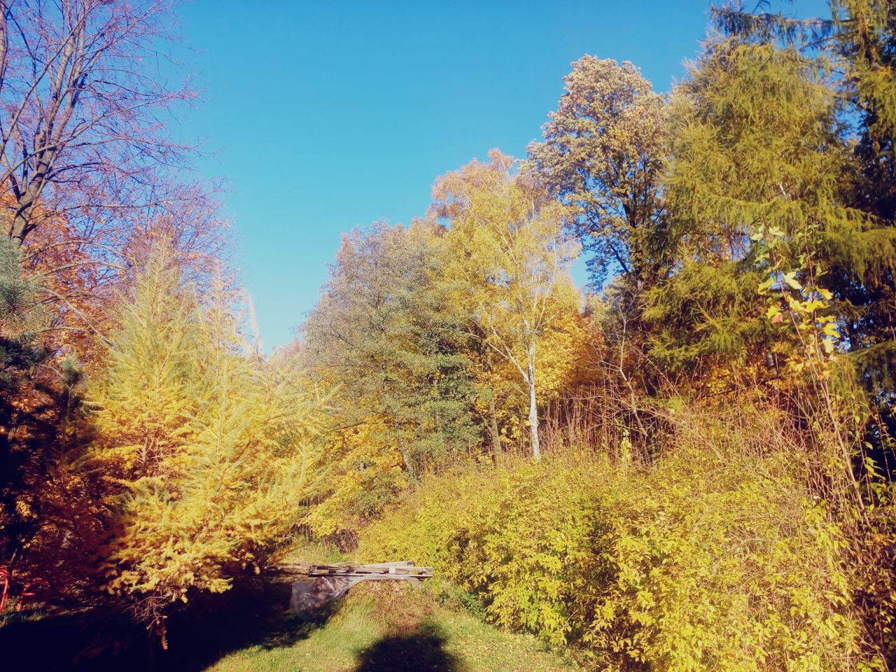 inny, 6 pokoi Przyszowice, Leśna. Zdjęcie 8