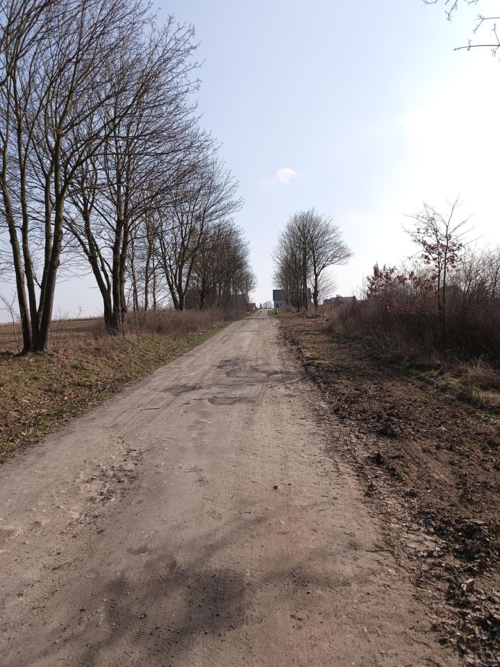 Działka budowlana Witkowo Pierwsze, ul. Spółdzielców. Zdjęcie 7