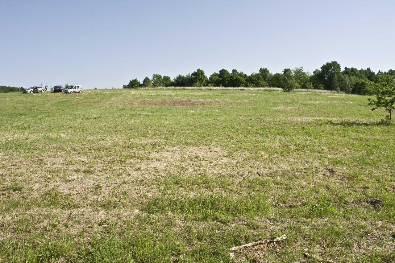 Działka rolno-budowlana Byczeń. Zdjęcie 2