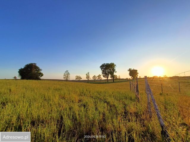 Działka budowlana Kamionki. Zdjęcie 1