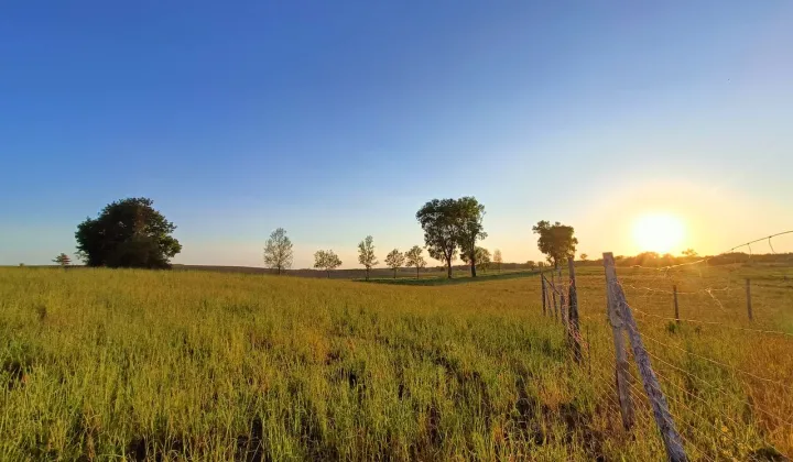 Działka rolno-budowlana Kamionki