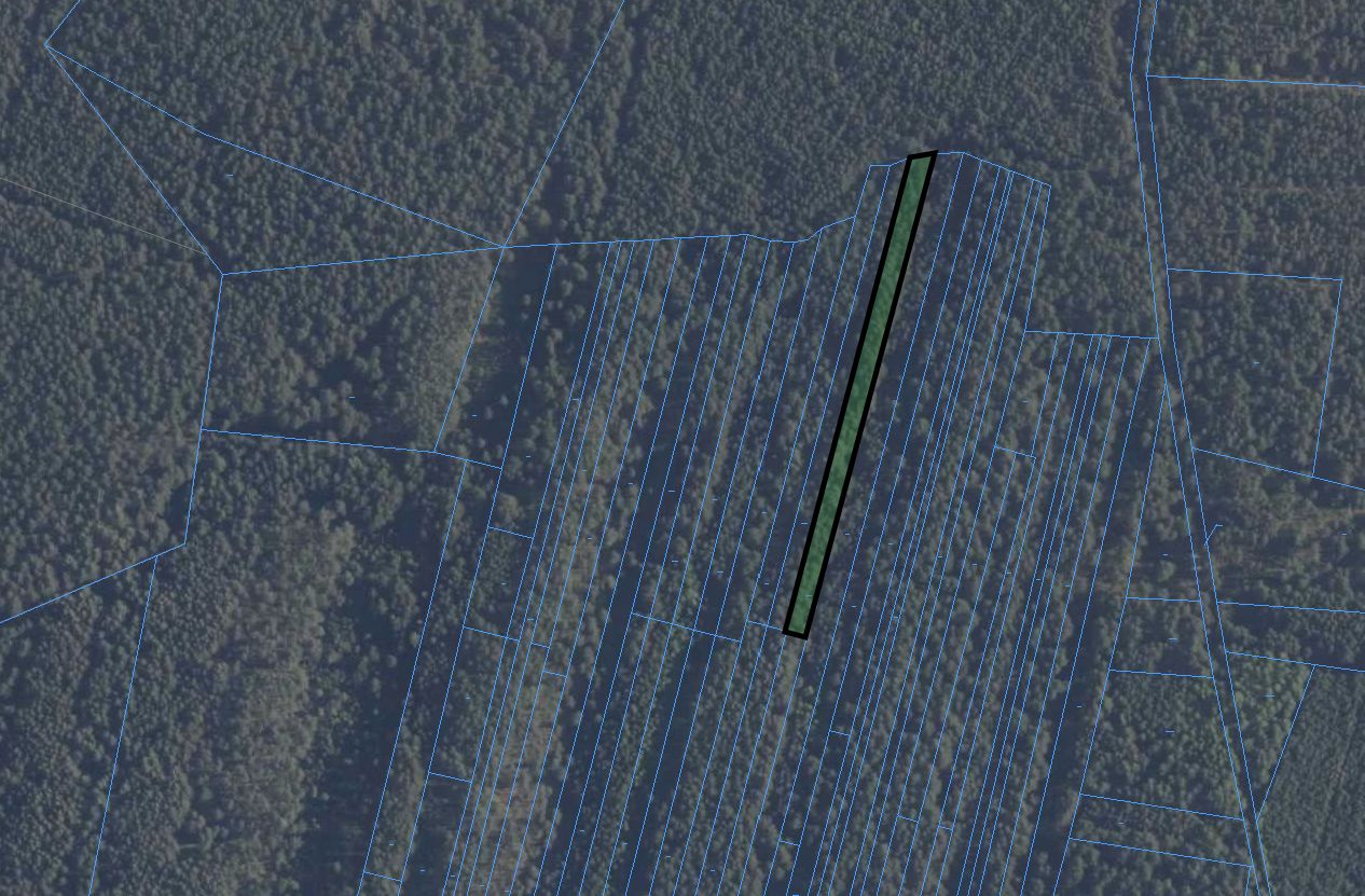 Działka leśna Januszewice. Zdjęcie 6