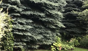 Działka rod Warszawa Mokotów, ul. Żwirki i Wigury