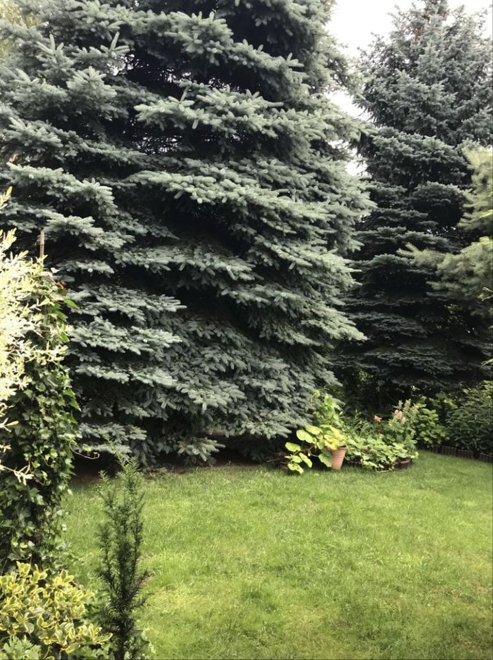 Działka rod Warszawa Mokotów, ul. Żwirki i Wigury. Zdjęcie 2