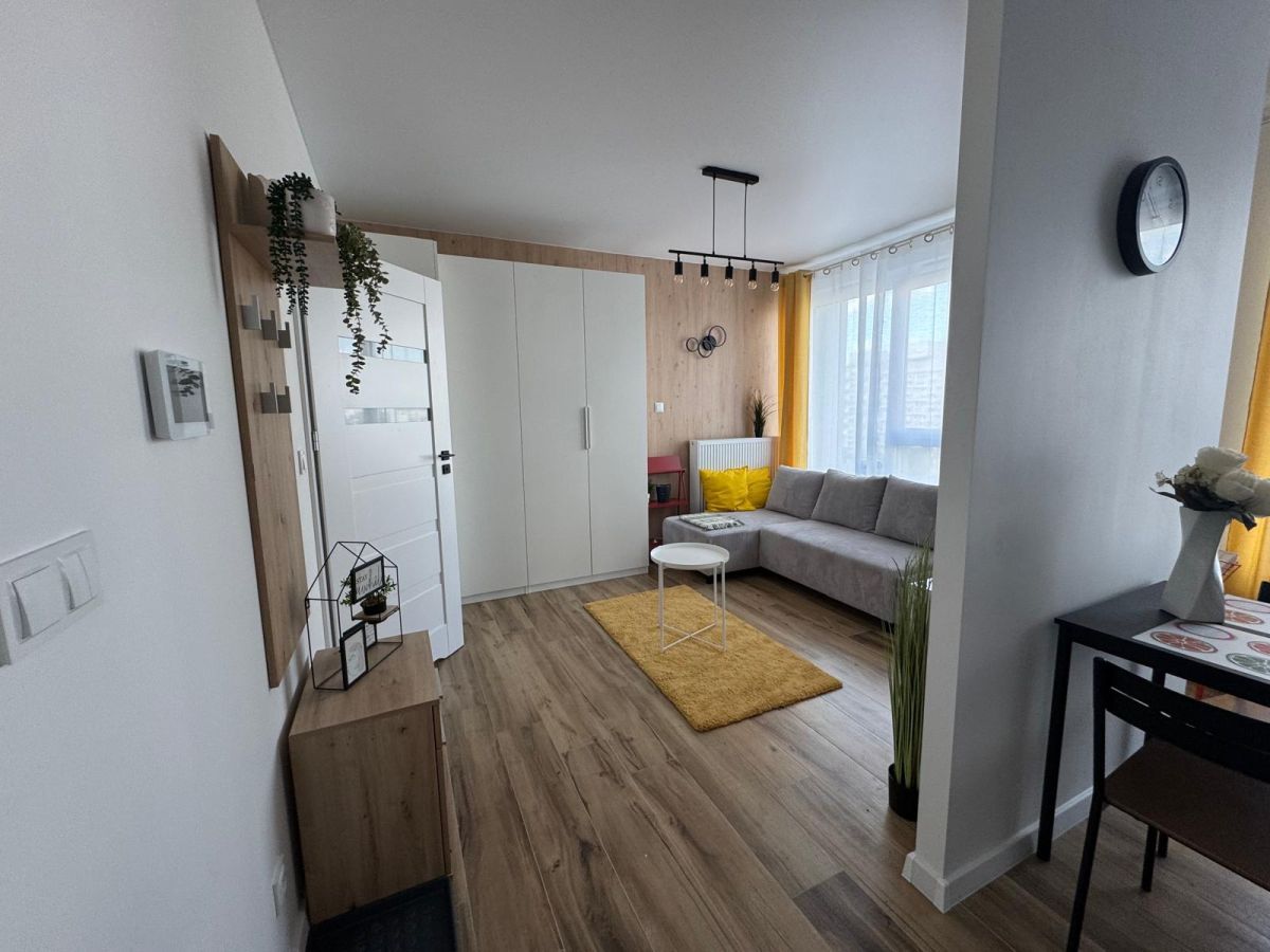 Mieszkanie 1-pokojowe Łódź Śródmieście, ul. Piotrkowska. Zdjęcie 5