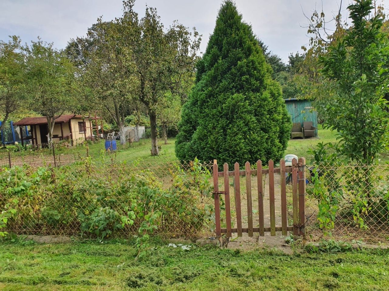 Działka rod Legnica. Zdjęcie 7