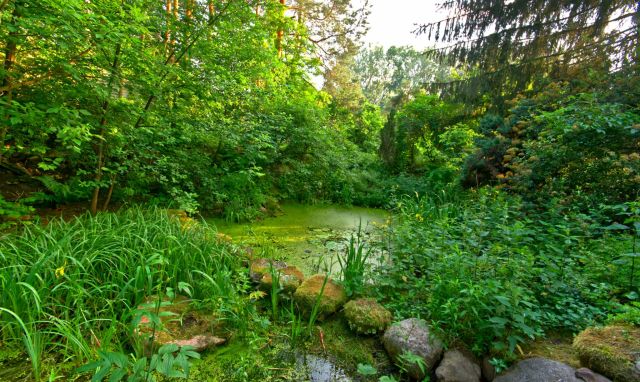 dom wolnostojący, 7 pokoi Józefów. Zdjęcie 11