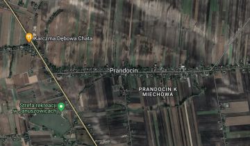Działka rolna Prandocin. Zdjęcie 1