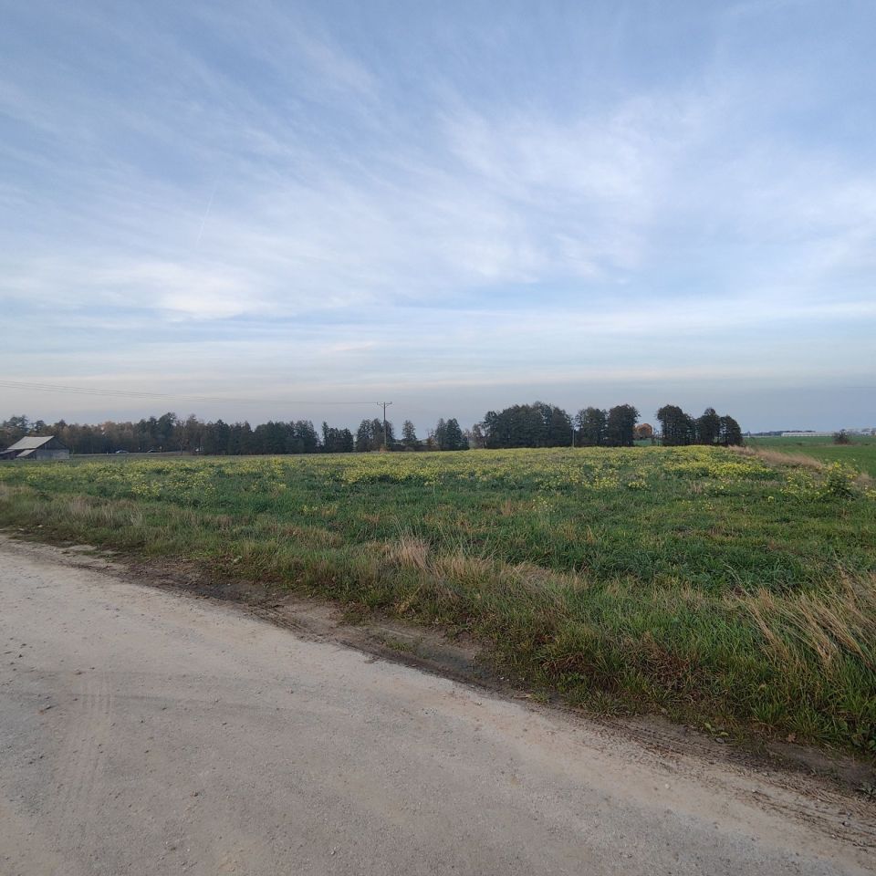 Działka inwestycyjna Międzyrzec Podlaski. Zdjęcie 7