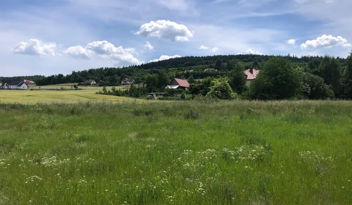 Działka budowlana Lutomia Górna, ul. Widokowa