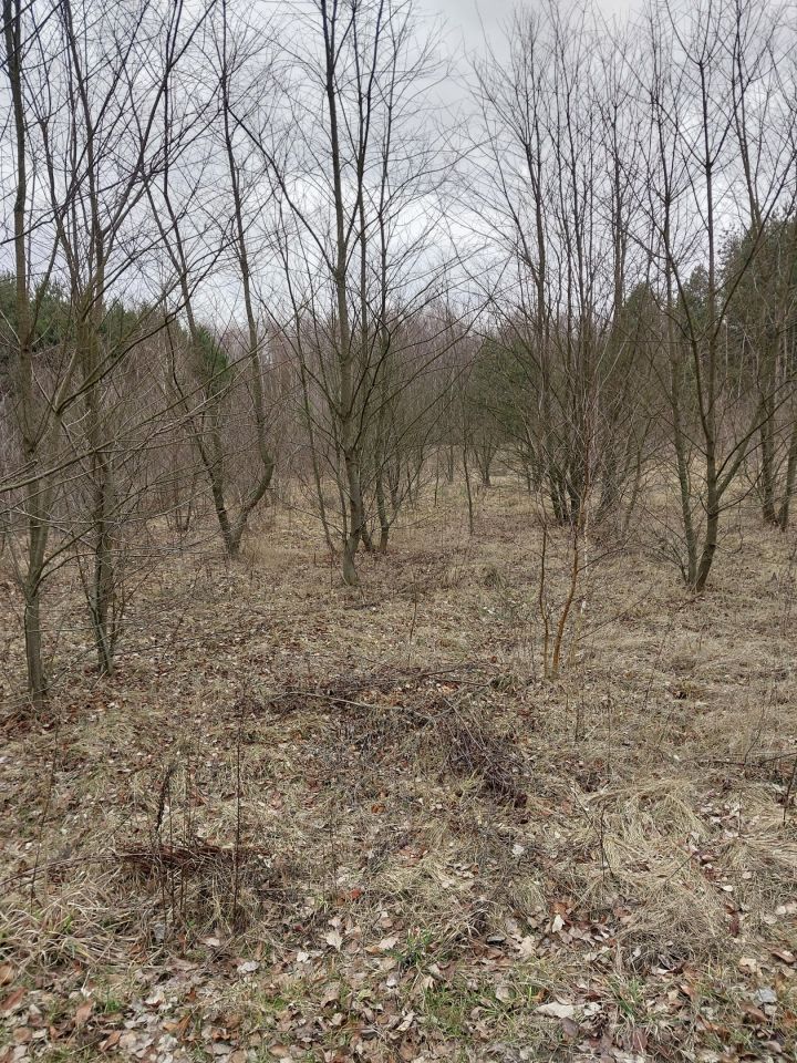 Działka budowlana Modzele-Bartłomieje. Zdjęcie 5