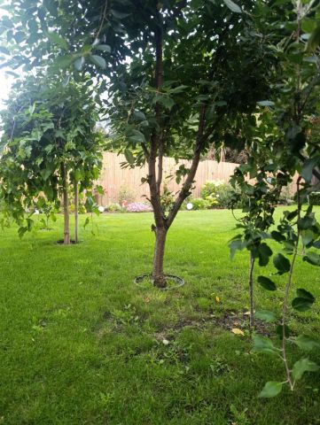 dom wolnostojący, 5 pokoi Wasilków. Zdjęcie 27