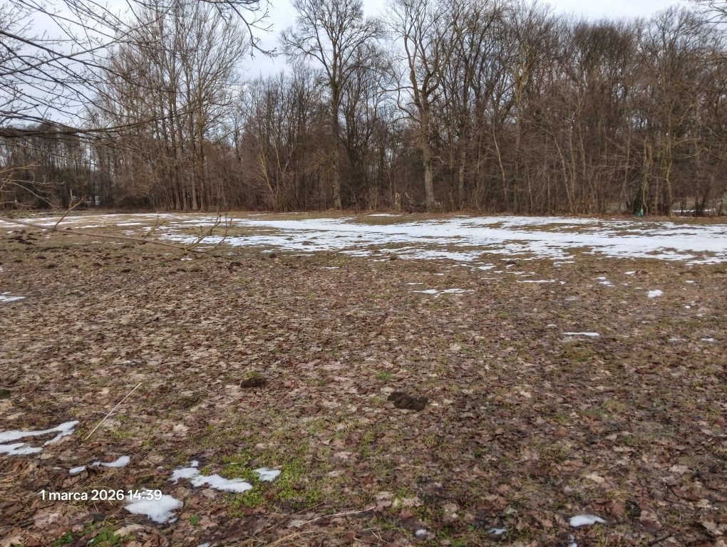 Działka budowlana Kosiny Bartosowe. Zdjęcie 3