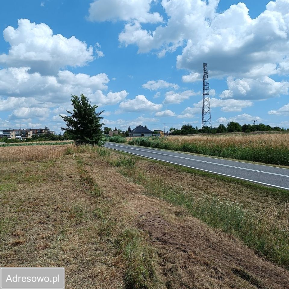 Działka budowlana Wińsko, ul. Kwiatowa. Zdjęcie 6