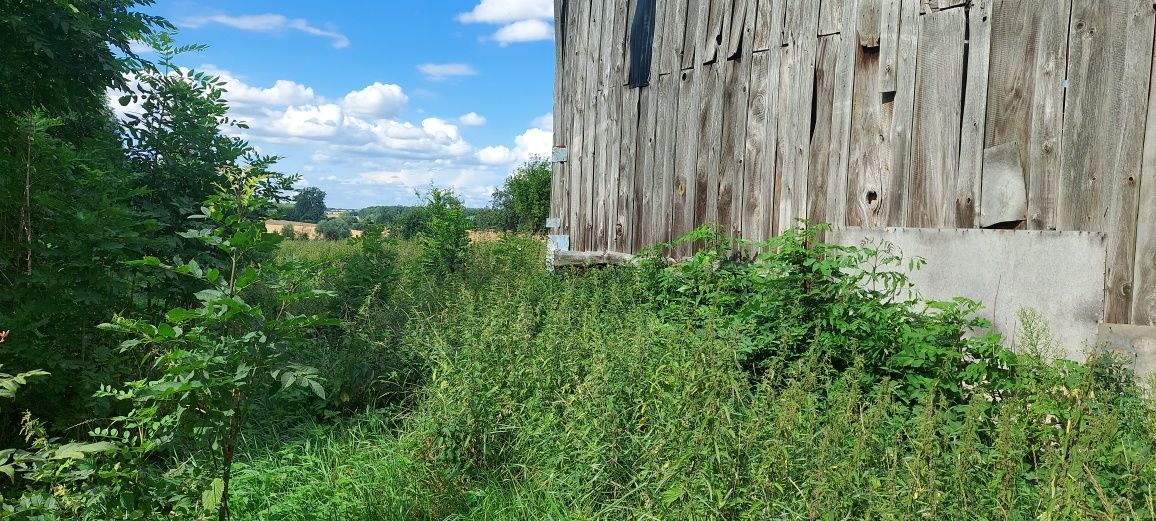 Działka budowlana Otanów. Zdjęcie 8