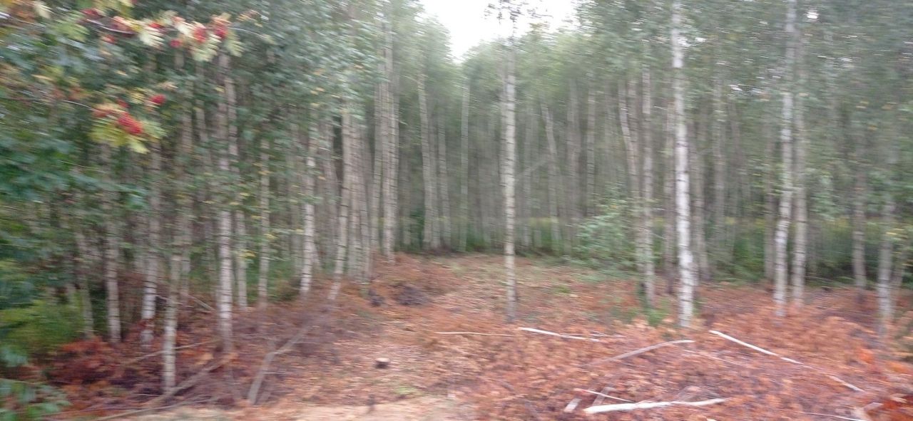 Działka rolno-budowlana Glina, ul. Na skraju. Zdjęcie 4