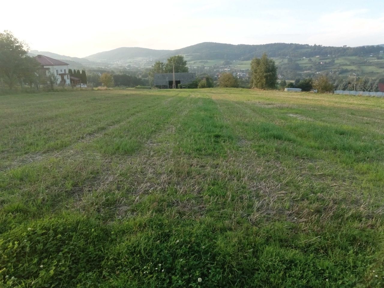 Działka rolna Dobrociesz Lipowa. Zdjęcie 1