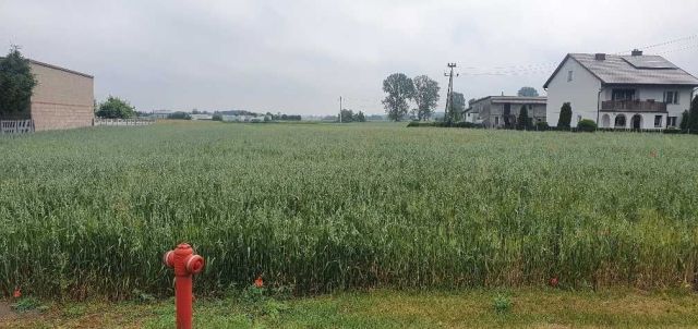 Działka budowlana Osiecza Pierwsza. Zdjęcie 1