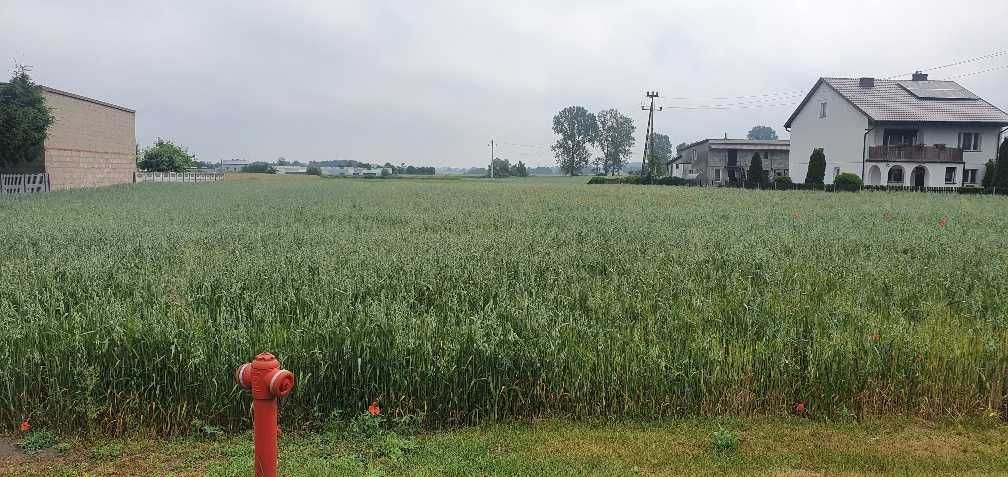 Działka budowlana Osiecza Pierwsza