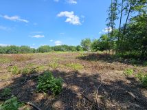 Działka rolna Pustynia. Zdjęcie 2