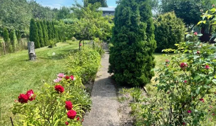 Działka rod Lubin, ul. Spacerowa