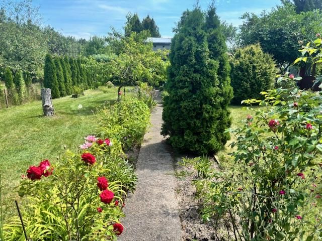 Działka rod Lubin, ul. Spacerowa