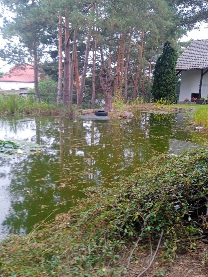 dom wolnostojący Stary Górnik. Zdjęcie 6