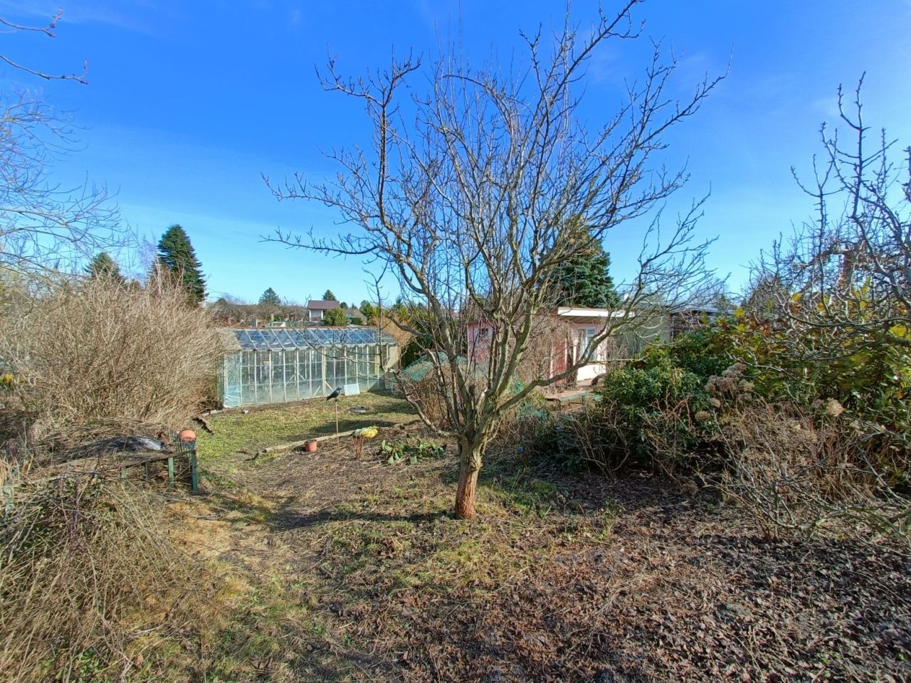 Działka rod Kołobrzeg. Zdjęcie 4