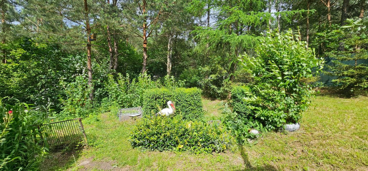 Działka rekreacyjna Głodowo. Zdjęcie 4