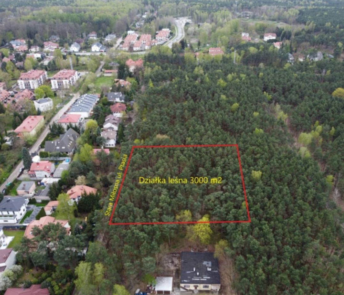 Działka leśna Warszawa Stara Miłosna, ul. Ptasia. Zdjęcie 2
