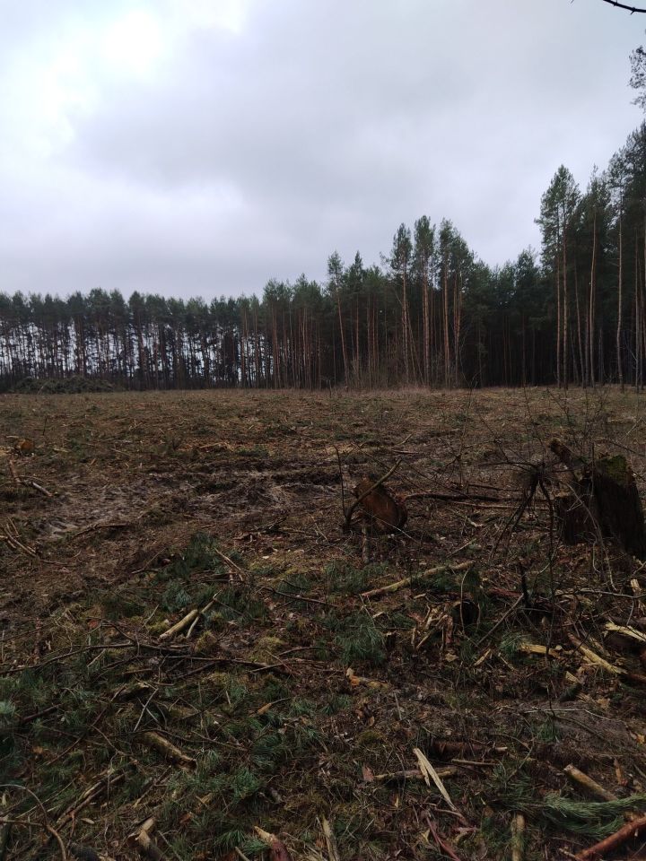 Działka rolna Arbasy Duże. Zdjęcie 3