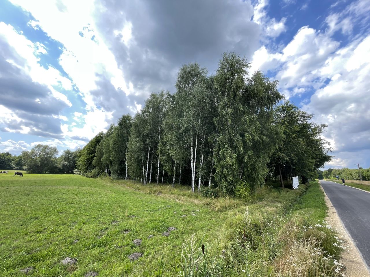 Działka rolno-budowlana Dobrenice