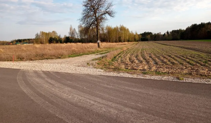 Działka budowlana Brzóza Przecinka, ul. Stara Brzóza