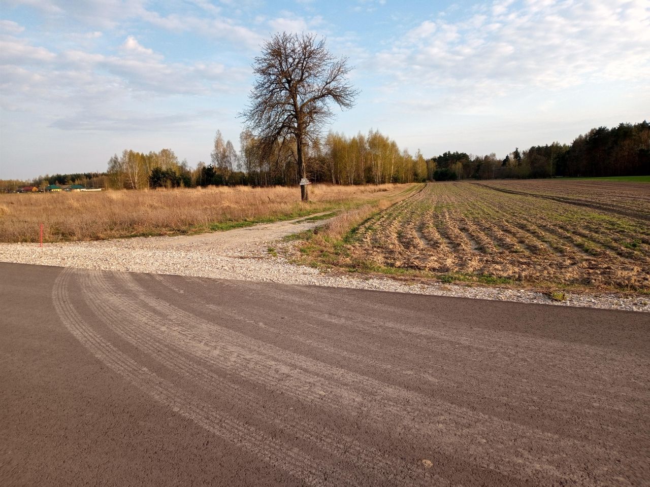 Działka budowlana Brzóza Przecinka, ul. Stara Brzóza